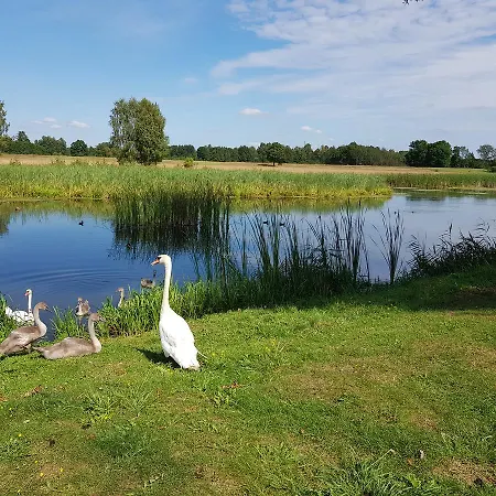Agroturystyka U Grazynki مزرعة للإقامة *