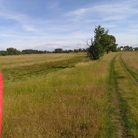 Фермерский дом Agroturystyka U Grazynki Wieliszew