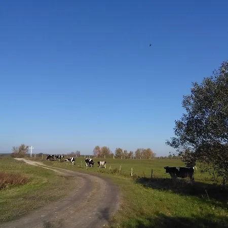Agroturystyka U Grazynki Фермерский дом Wieliszew