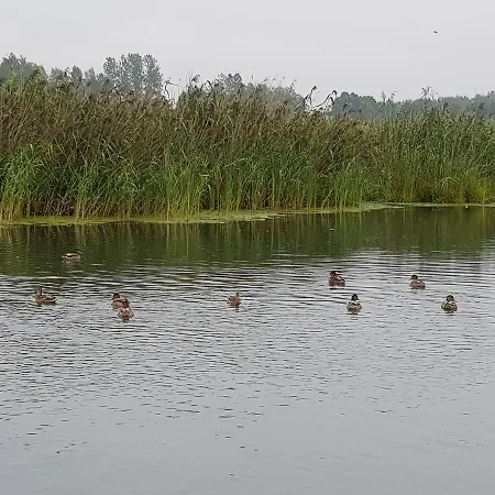 مزرعة للإقامة Agroturystyka U Grazynki Wieliszew