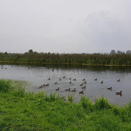 Agroturystyka U Grazynki Wieliszew