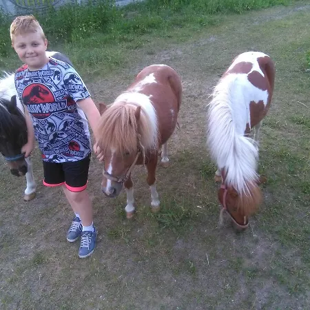 Agroturystyka U Grazynki *