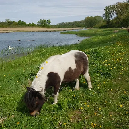 مزرعة للإقامة Agroturystyka U Grazynki