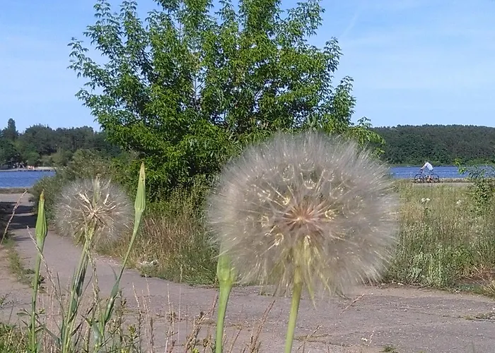 Farm stay Agroturystyka U Grazynki
