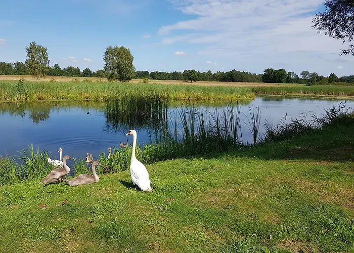 Agroturystyka U Grazynki Farm stay *