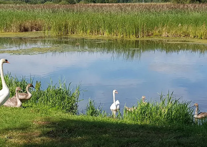 Agroturystyka U Grazynki Farm stay *