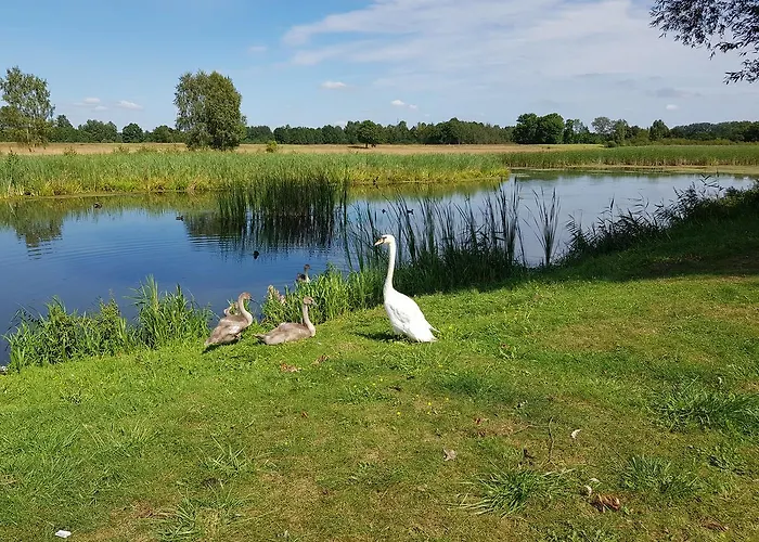 Agroturystyka U Grazynki Farm stay
