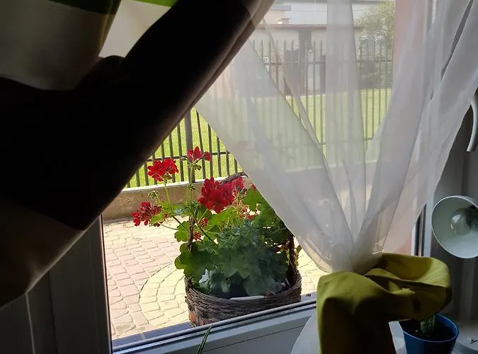 Agroturystyka U Grazynki * Wieliszew