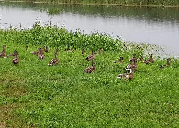Agroturystyka U Grazynki Farm stay