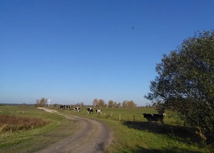 Agroturystyka U Grazynki Farm stay Wieliszew