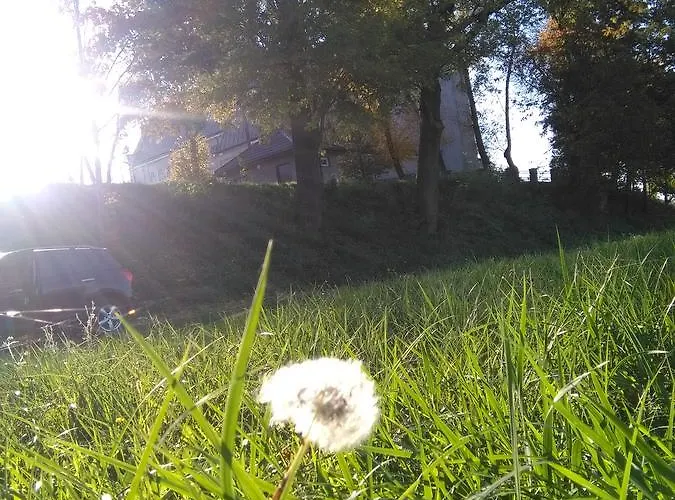 Agroturystyka U Grazynki Farm stay