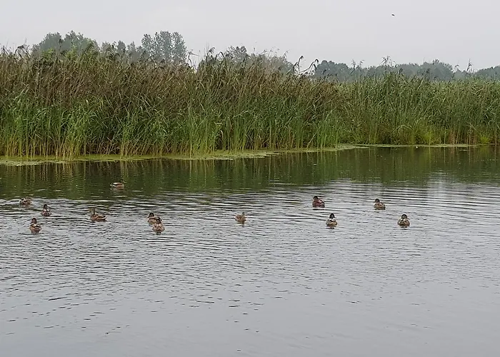 Farm stay Agroturystyka U Grazynki Wieliszew