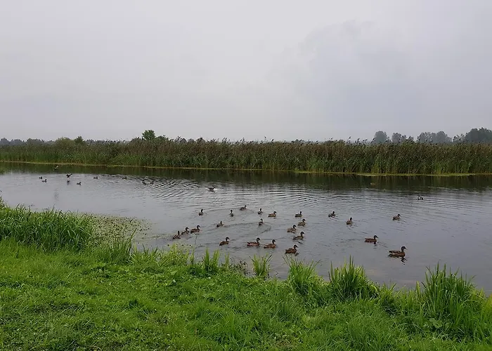 Agroturystyka U Grazynki Wieliszew