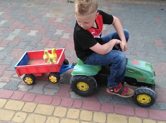 Agroturystyka U Grazynki Farm stay