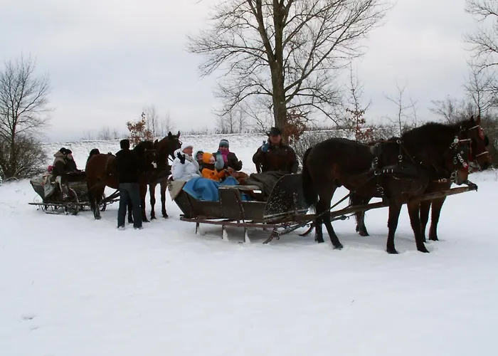 Farm stay Agroturystyka U Grazynki *