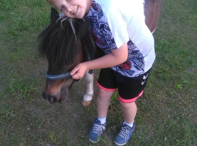 Agroturystyka U Grazynki