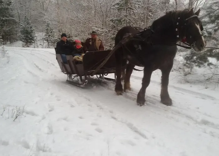 Farm stay Agroturystyka U Grazynki *